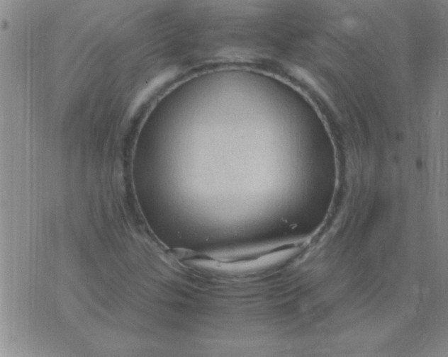 X0000075821307200610061747