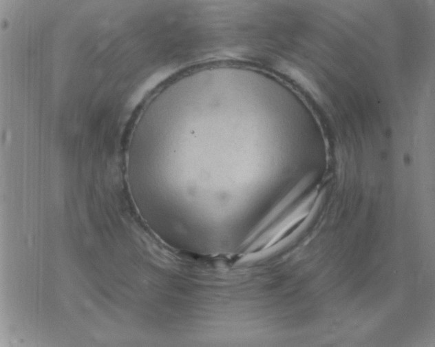 X0000075821308200610061747