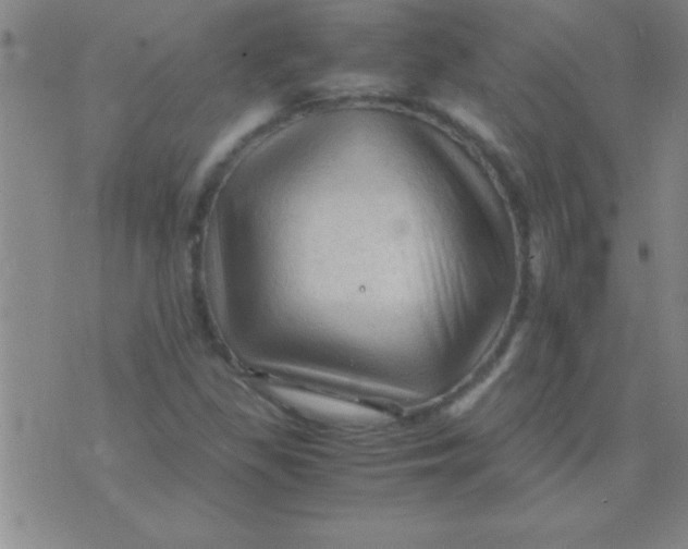 X0000075821309200610061747