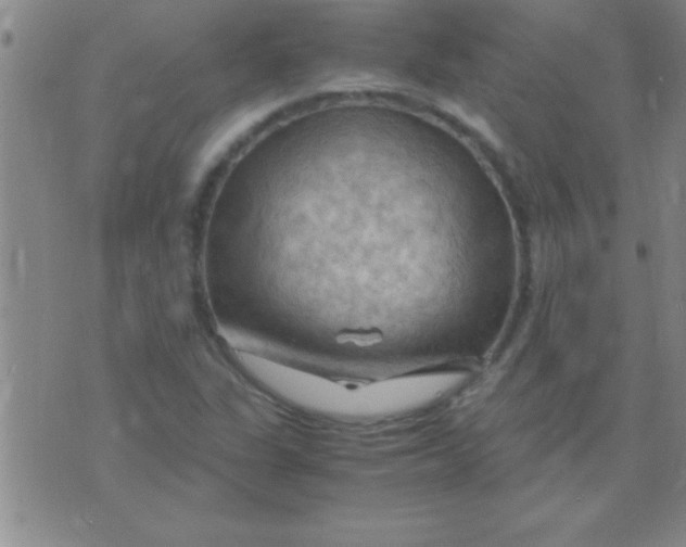 X0000075821311200610061747