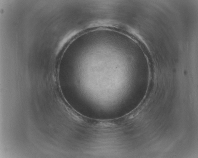 X0000075821312200610061747