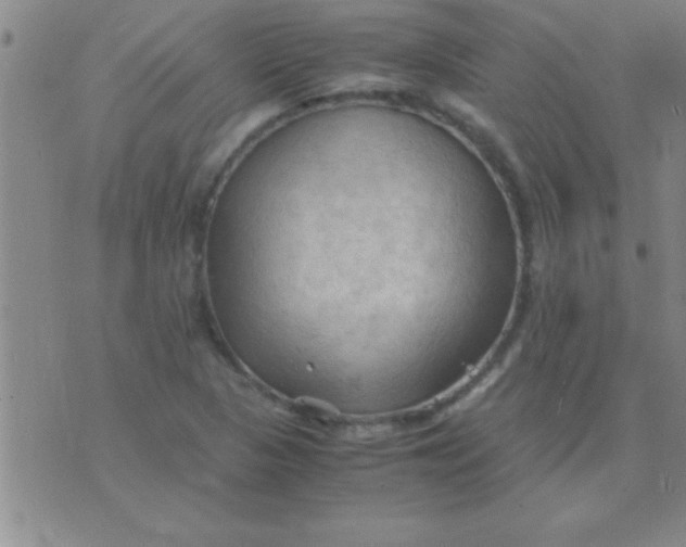 X0000075821313200610061747