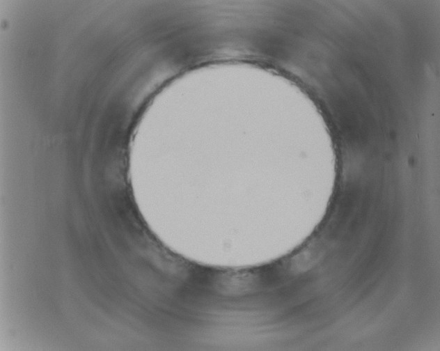 X0000075821314200610061747