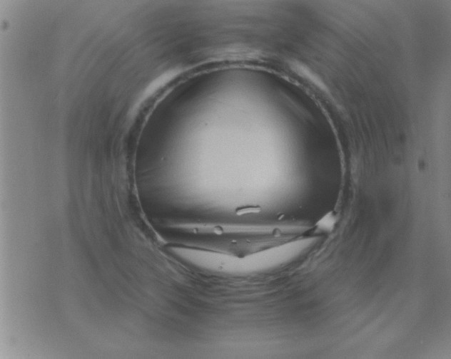 X0000075821315200610061747