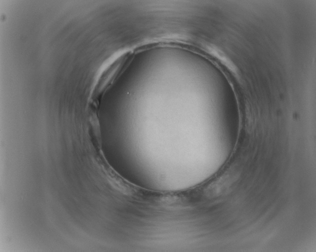 X0000075821316200610061747