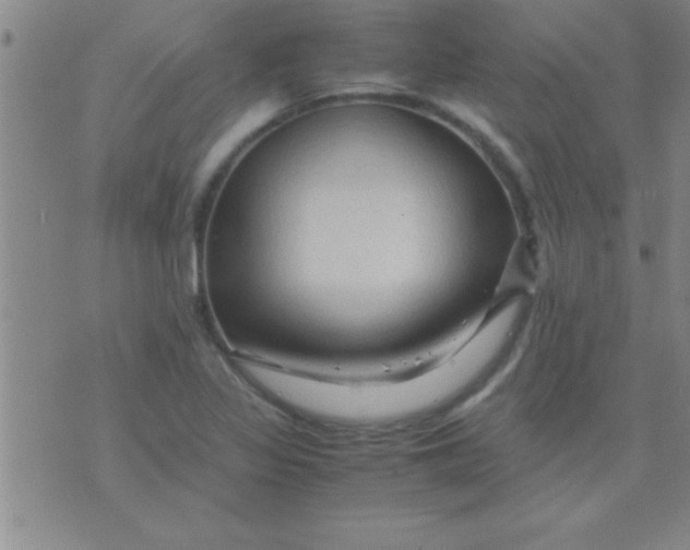 X0000075821317200610061747