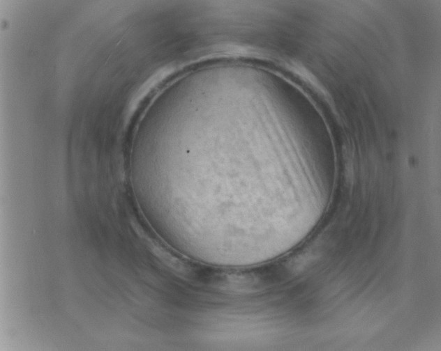 X0000075821318200610061747