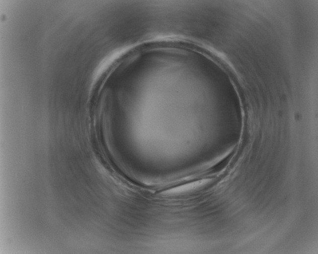 X0000075821319200610061747