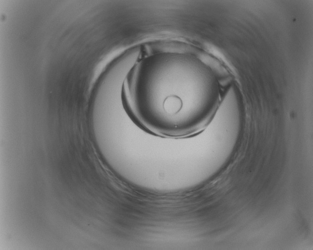 X0000075821320200610061747