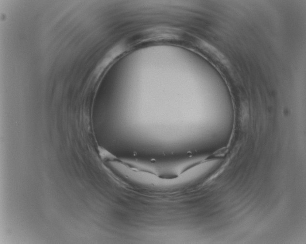 X0000075821321200610061747