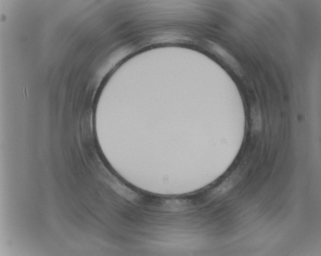 X0000075821322200610061747