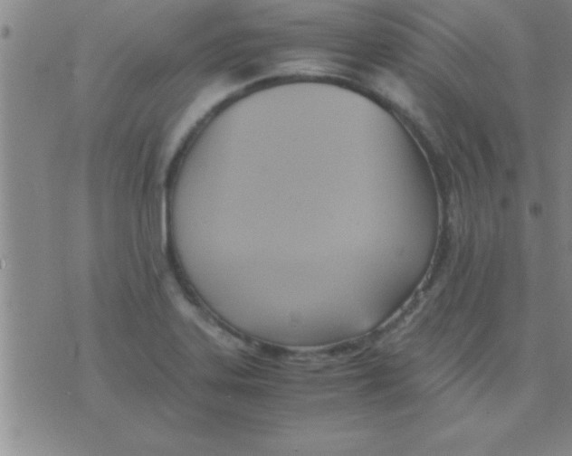 X0000075821323200610061747