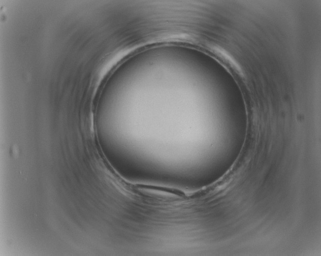 X0000075821324200610061747