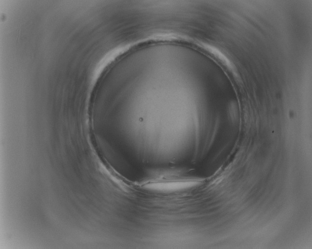 X0000075821327200610061747