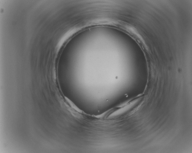 X0000075821328200610061747