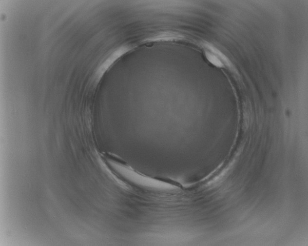 X0000075821329200610061747