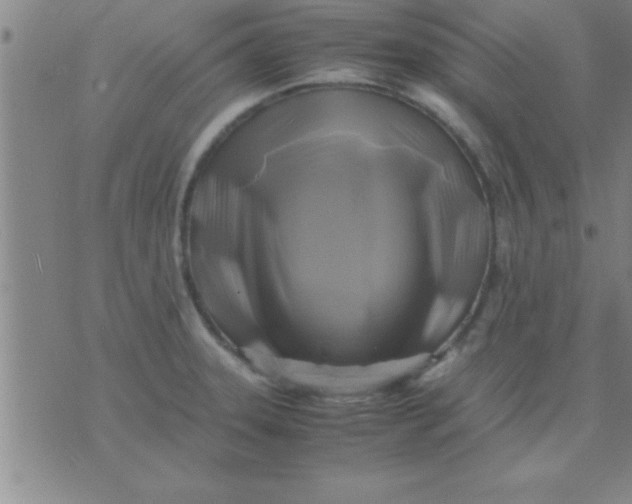 X0000075821331200610061747