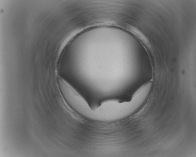 X0000075821332200610061747