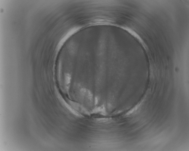 X0000075821333200610061747