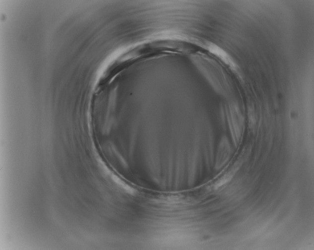 X0000075821334200610061747