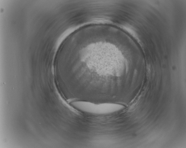 X0000075821335200610061747