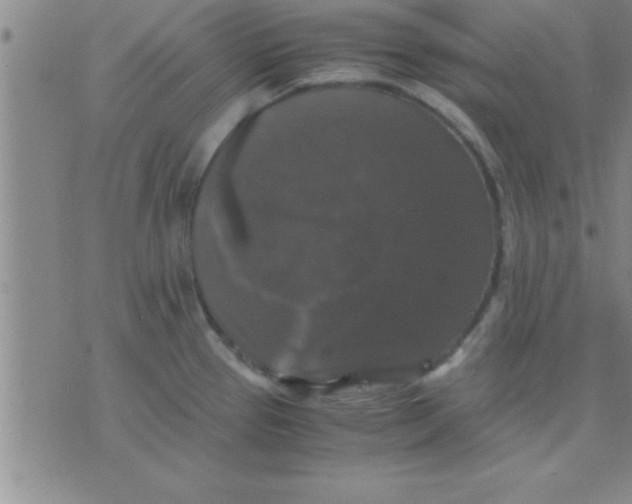 X0000075821337200610061747