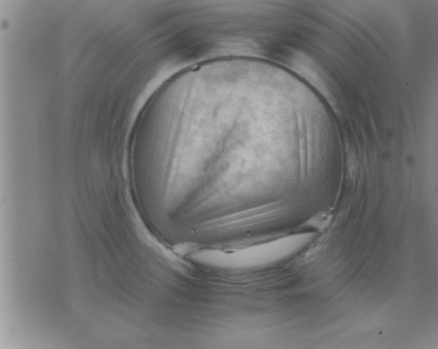 X0000075821339200610061747