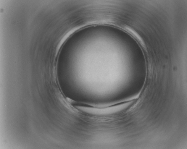 X0000075821340200610061747