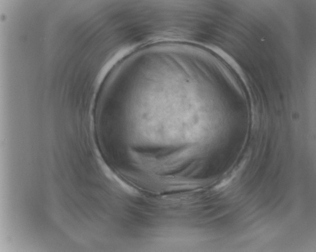 X0000075821341200610061747