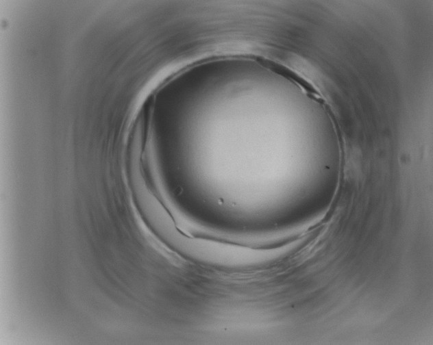 X0000075821342200610061747