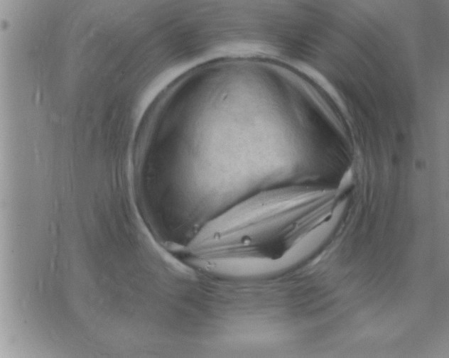 X0000075821343200610061747