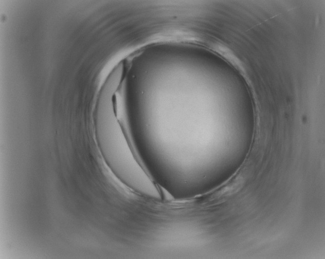 X0000075821344200610061747