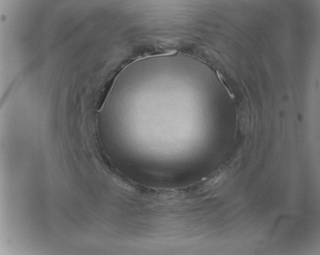 X0000075821345200610061746