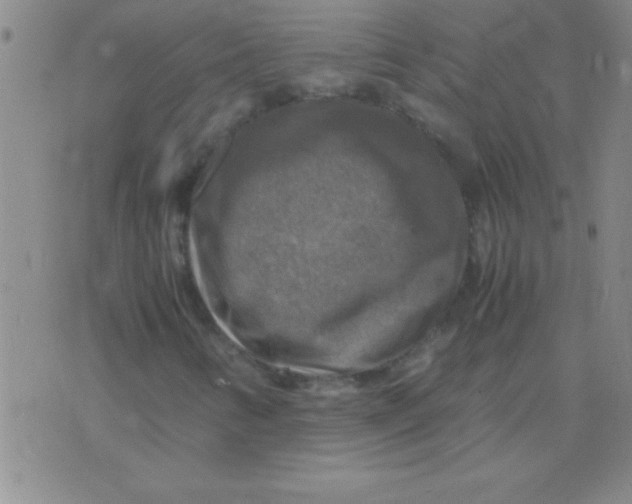 X0000075821346200610061746