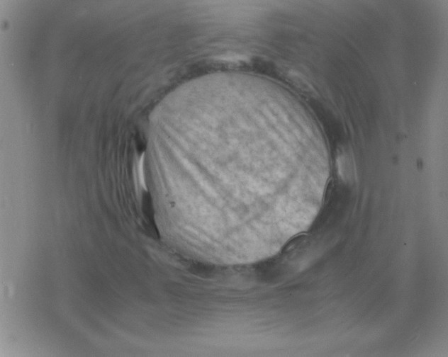 X0000075821347200610061746