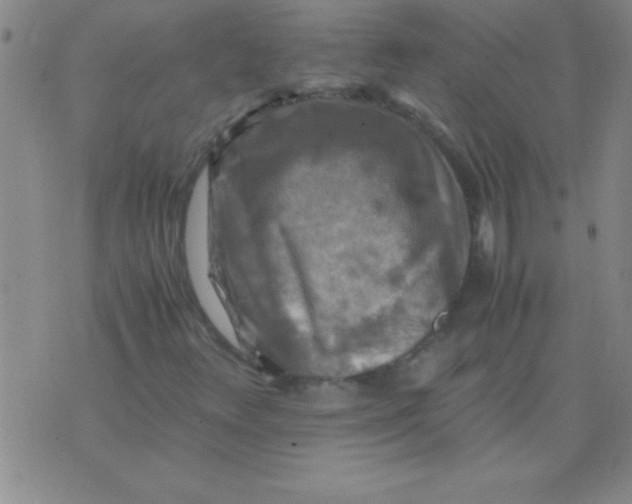 X0000075821348200610061746