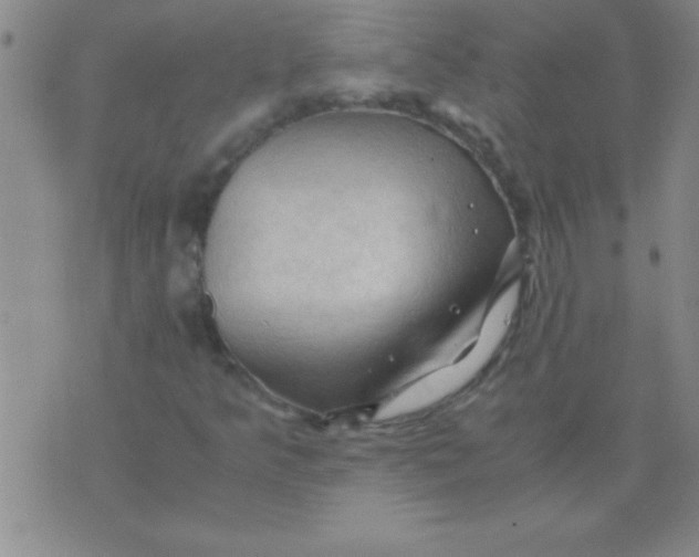 X0000075821349200610061746