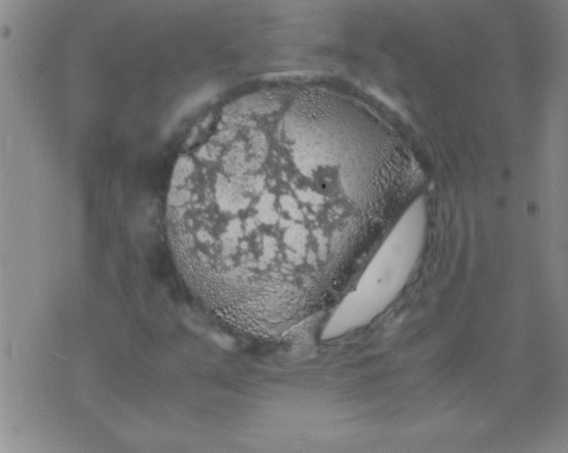 X0000075821351200610061746