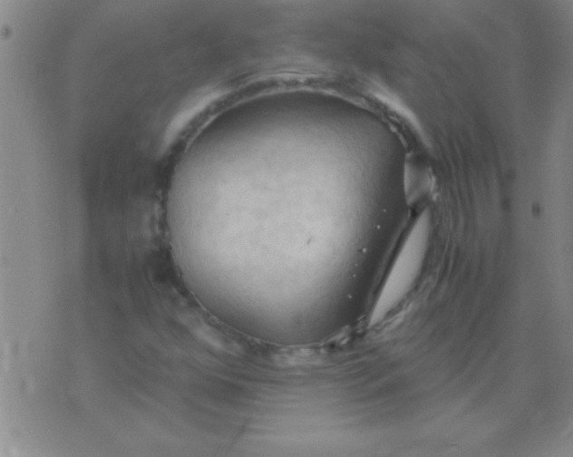 X0000075821352200610061746