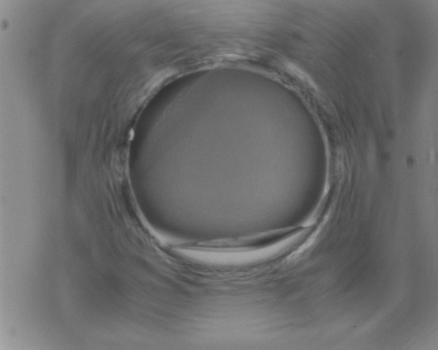 X0000075821353200610061746