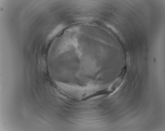 X0000075821354200610061746