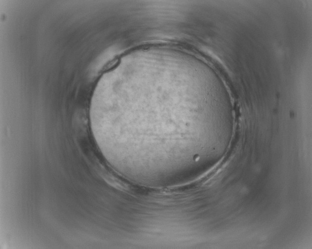 X0000075821355200610061746