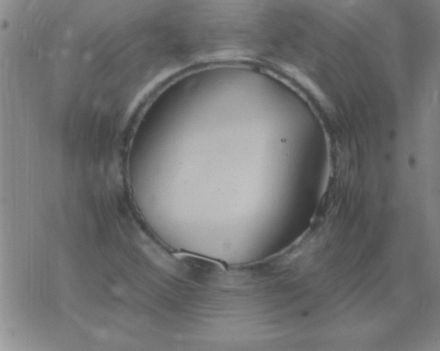 X0000075821356200610061746