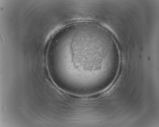 X0000075821357200610061746