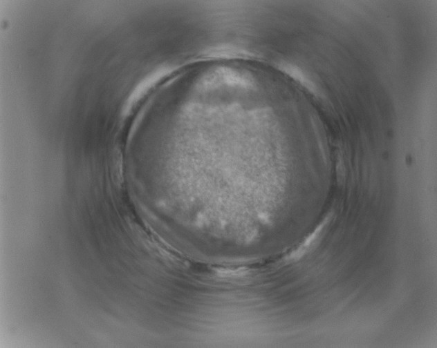 X0000075821358200610061746