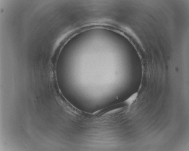 X0000075821360200610061746