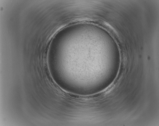 X0000075821361200610061746