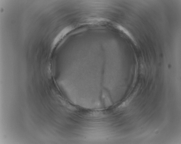 X0000075821362200610061746