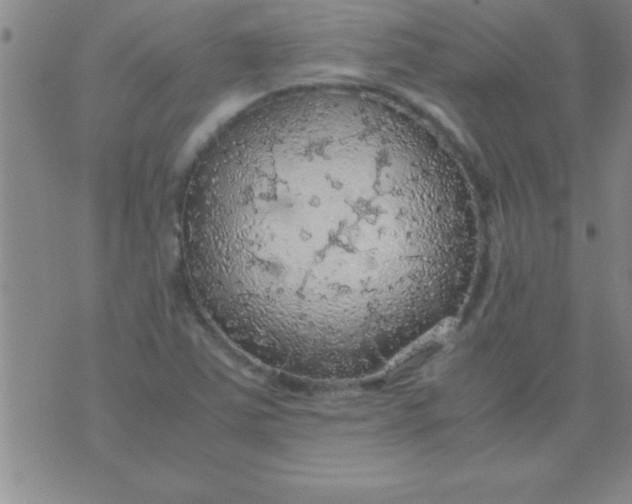 X0000075821363200610061746