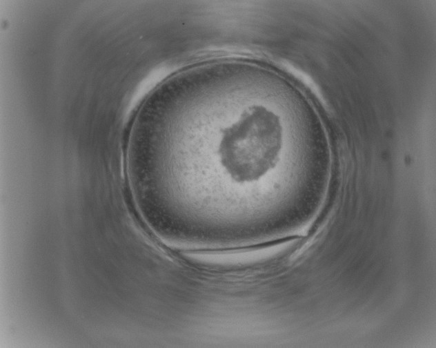 X0000075821365200610061746